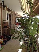 Monica89immobiliare - 3/16